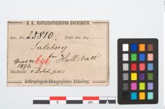 Etikett zu Bimetalldolchmesser (NHMW-PRAE-025810)